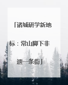 诸城研学新地标：常山脚下非遗一条街