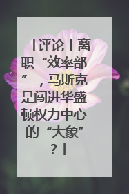 评论丨离职“效率部”，马斯克是闯进华盛顿权力中心的“大象”？
