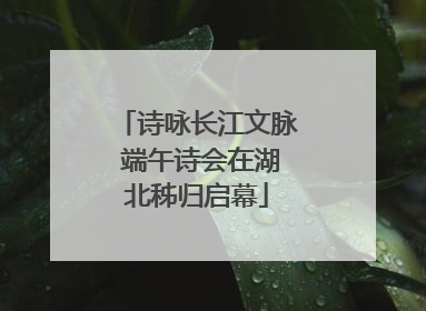 诗咏长江文脉 端午诗会在湖北秭归启幕