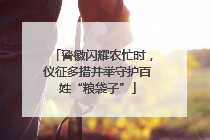 警徽闪耀农忙时，仪征多措并举守护百姓“粮袋子”