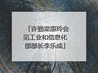 许勤梁惠玲会见工业和信息化部部长李乐成