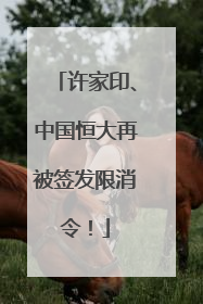 许家印、中国恒大再被签发限消令！