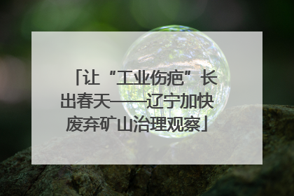 让“工业伤疤”长出春天——辽宁加快废弃矿山治理观察
