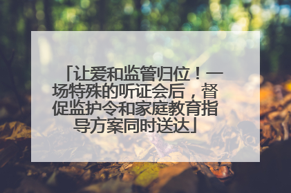 让爱和监管归位！一场特殊的听证会后，督促监护令和家庭教育指导方案同时送达