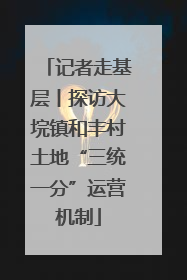 记者走基层丨探访大垸镇和丰村土地“三统一分”运营机制