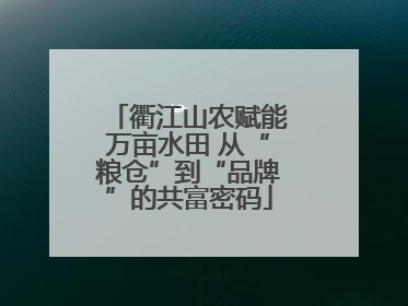 衢江山农赋能万亩水田 从“粮仓”到“品牌”的共富密码