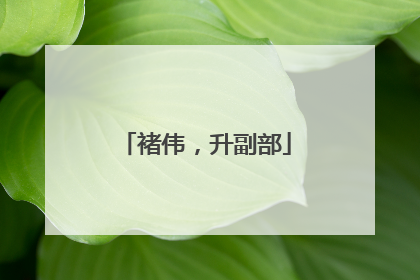 褚伟，升副部