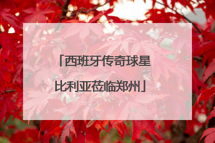 西班牙传奇球星 比利亚莅临郑州