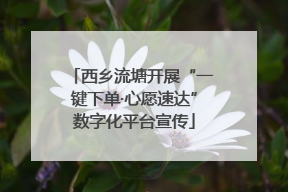 西乡流塘开展“一键下单·心愿速达”数字化平台宣传