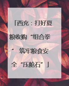 西充：打好夏粮收购“组合拳” 筑牢粮食安全“压舱石”