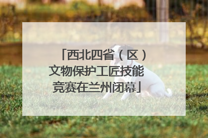 西北四省（区）文物保护工匠技能竞赛在兰州闭幕