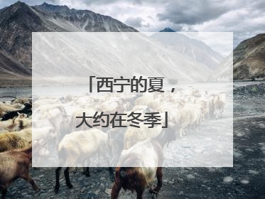 西宁的夏，大约在冬季