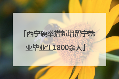 西宁硬举措新增留宁就业毕业生1800余人