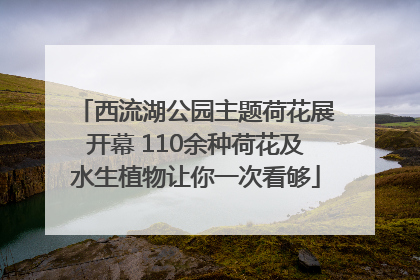 西流湖公园主题荷花展开幕 110余种荷花及水生植物让你一次看够