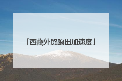 西藏外贸跑出加速度