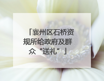 襄州区石桥资规所给政府及群众“送礼”