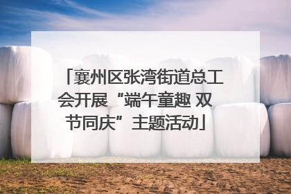 襄州区张湾街道总工会开展“端午童趣 双节同庆”主题活动
