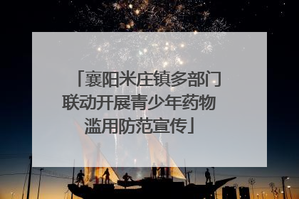 襄阳米庄镇多部门联动开展青少年药物滥用防范宣传