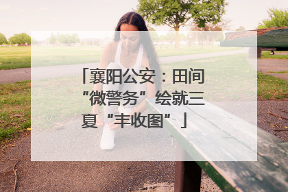 襄阳公安：田间“微警务”绘就三夏“丰收图”