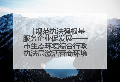 规范执法强根基 服务企业促发展——市生态环境综合行政执法局激活营商环境“绿色动能”