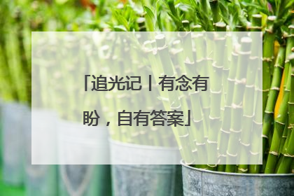 追光记丨有念有盼，自有答案