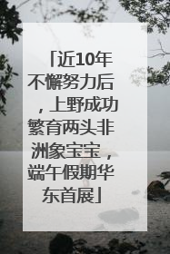 近10年不懈努力后，上野成功繁育两头非洲象宝宝，端午假期华东首展