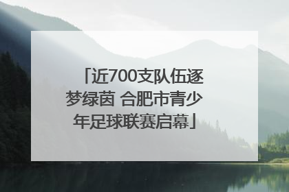 近700支队伍逐梦绿茵 合肥市青少年足球联赛启幕