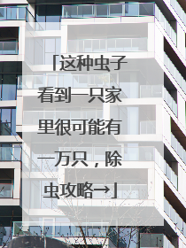 这种虫子看到一只家里很可能有一万只，除虫攻略→