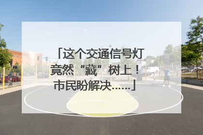 这个交通信号灯竟然“藏”树上！市民盼解决……