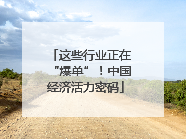 这些行业正在“爆单”！中国经济活力密码