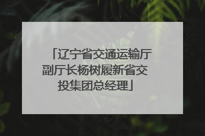 辽宁省交通运输厅副厅长杨树履新省交投集团总经理