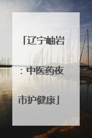 辽宁岫岩：中医药夜市护健康