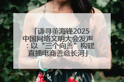 谦寻董海锋2025中国网络文明大会发声：以“三个向善”构建直播电商善意长河