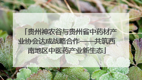 贵州神农谷与贵州省中药材产业协会达成战略合作——共筑西南地区中医药产业新生态