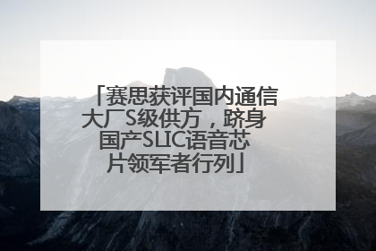 赛思获评国内通信大厂S级供方，跻身国产SLIC语音芯片领军者行列