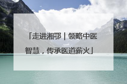 走进湘鄂｜领略中医智慧，传承医道薪火