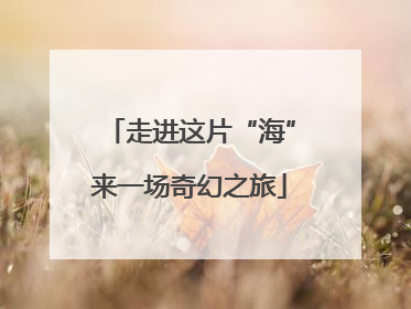 走进这片“海”来一场奇幻之旅