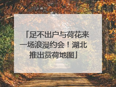 足不出户与荷花来一场浪漫约会！湖北推出赏荷地图