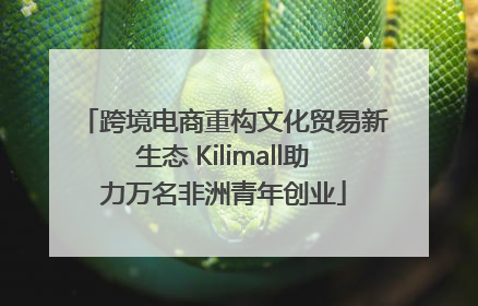 跨境电商重构文化贸易新生态 Kilimall助力万名非洲青年创业