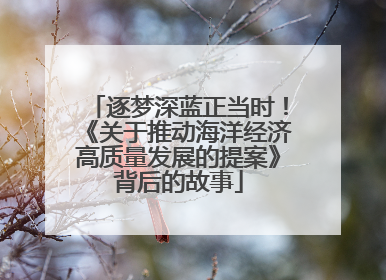 逐梦深蓝正当时！《关于推动海洋经济高质量发展的提案》背后的故事