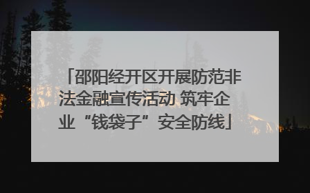 邵阳经开区开展防范非法金融宣传活动 筑牢企业“钱袋子”安全防线