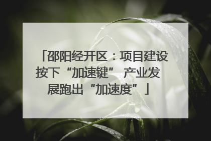 邵阳经开区：项目建设按下“加速键” 产业发展跑出“加速度”