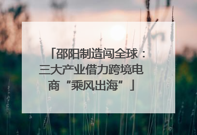 邵阳制造闯全球：三大产业借力跨境电商“乘风出海”