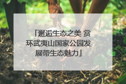 邂逅生态之美 赏环武夷山国家公园发展带生态魅力