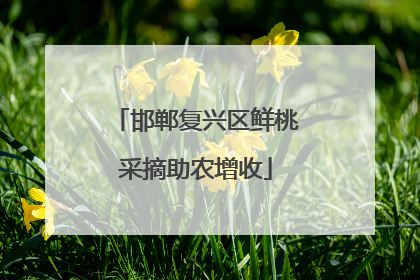 邯郸复兴区鲜桃采摘助农增收