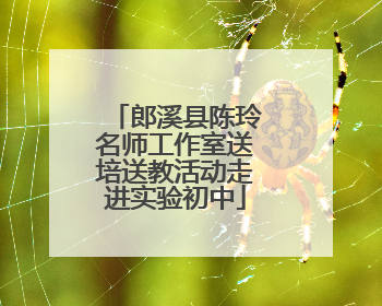郎溪县陈玲名师工作室送培送教活动走进实验初中