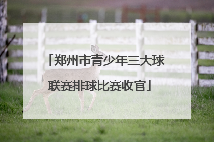 郑州市青少年三大球联赛排球比赛收官