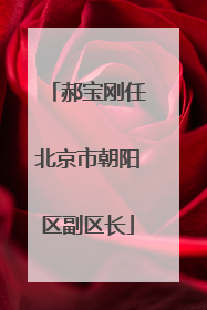 郝宝刚任北京市朝阳区副区长