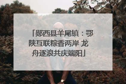 郧西县羊尾镇：鄂陕互联粽香两岸 龙舟逐浪共庆端阳