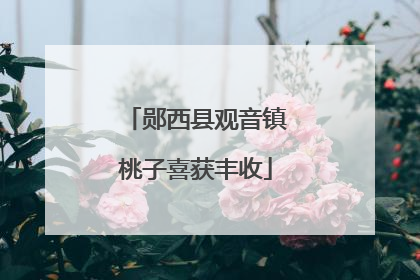 郧西县观音镇桃子喜获丰收